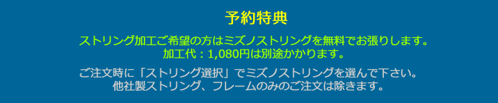 予約特典