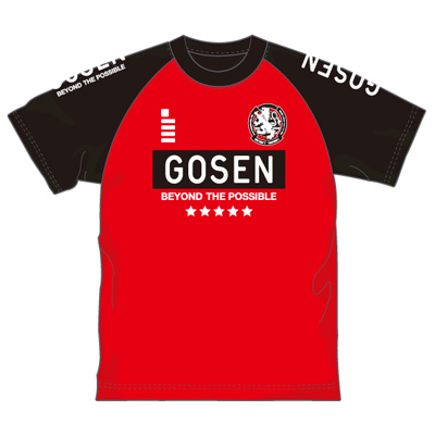 ゴーセン 2018春企画Tシャツ プラクティス ラグランエンブレム (J18P03)