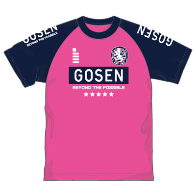 ゴーセン 2018春企画Tシャツ プラクティス ラグランエンブレム (J18P03)