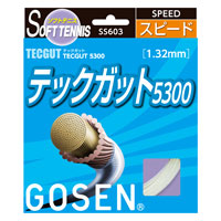 ゴーセン TECGUT テックガット5300 SS603