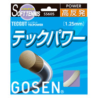 ゴーセン TECGUT テックパワー SS605